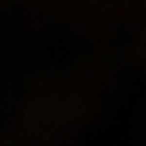 Meet your Posher, Nasima